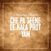 Che Pa Seene De Kala Prot Yam