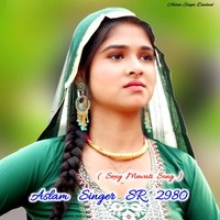 Aslam Singer SR 2980 ( Mewati Sexy Song )