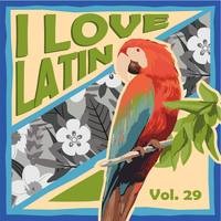 I Love Latin, Vol. 29