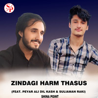 Zindagi Harm Thasus