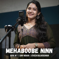 Mehaboobe Ninn