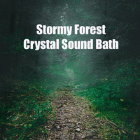 Stormy Forest Crystal Sound Bath