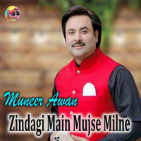 Zindagi Main Mujse Milne