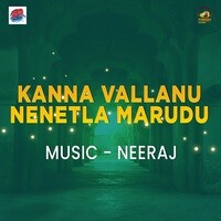 Kanna Vallanu Nenetla Marudu