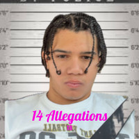 14 Allegations