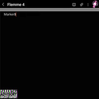 Flemme 4