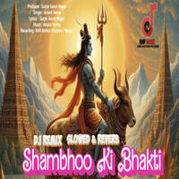 Shambhoo Ki Bhakti Dj Remix Slowed & Reverb