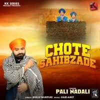 Chote Sahibzade