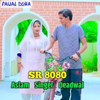 Aslam Singer SR 8080