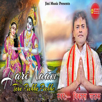 Hari Naam Tere Pichhe Pichhe Song Download: Play & Listen Hari Naam ...