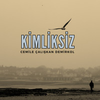 Kimliksiz