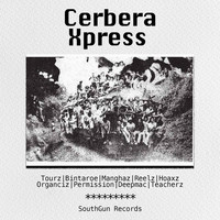 Cerbera Xpress