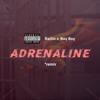 Adrenaline (Remix)