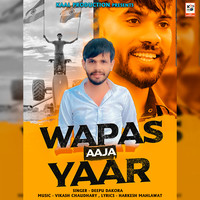 Wapas Aaja Yaar