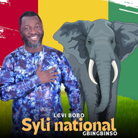 Syli National Gbingbinso