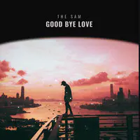 Good Bye Love