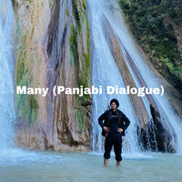 Many (Panjabi Dialogue)