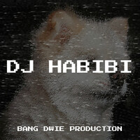 DJ Habibi
