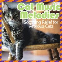 Cat Music Melodies - Soothing Relief for Anxious Cats