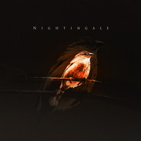 Nightingale