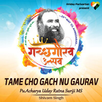 Tame Cho Gach Nu Gaurav