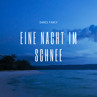 Eine Nacht Im Schnee