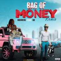 Bag of Money (Remix)