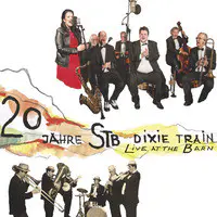 20 Jahre Stb Dixie Train (Live at the Barn)