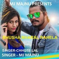 Bhusha Bharal Rahela ( Nagpuri Song )