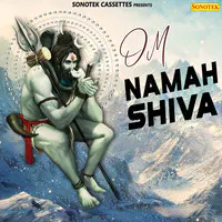 Om Namah Shiva