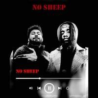 No sheep