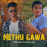 Nethu Gawa