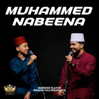 MUHAMMED NABEENA