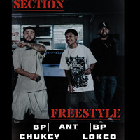Section Freestyle