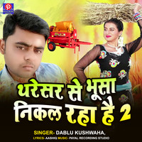 Tharesar Se Bhusa Nikal Raha Hai 2 (Chaita Song)
