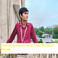 Sad Song Meena Song Yaad Me Biyar Piungo