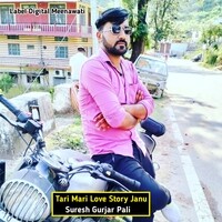 Tari Mari Love Story Janu