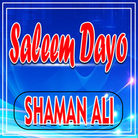 Saleem Dayo