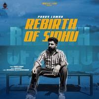 Rebirth Of Sidhu