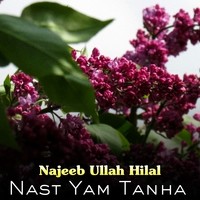 Nast Yam Tanha