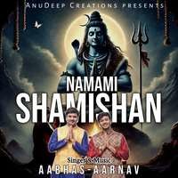 Namami Shamishan