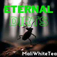 Eternal Dirts