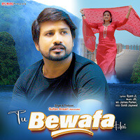 Tu Bewafa Hai