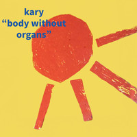 Body Without Organs