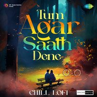 Tum Agar Saath Dene Chill Lofi