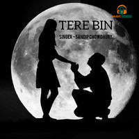 Tere Bin