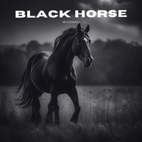 Black Horse