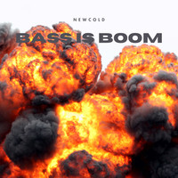 Bass Is Boom