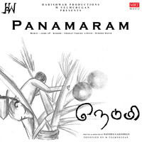 Panamaram (From "Nedumi")