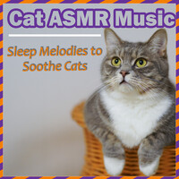 Cat Asmr Music - Sleep Melodies to Soothe Cats